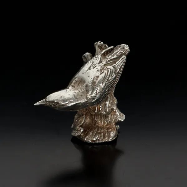 Silver Nuthatch