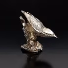 Silver Nuthatch