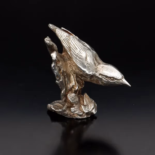 Silver Nuthatch