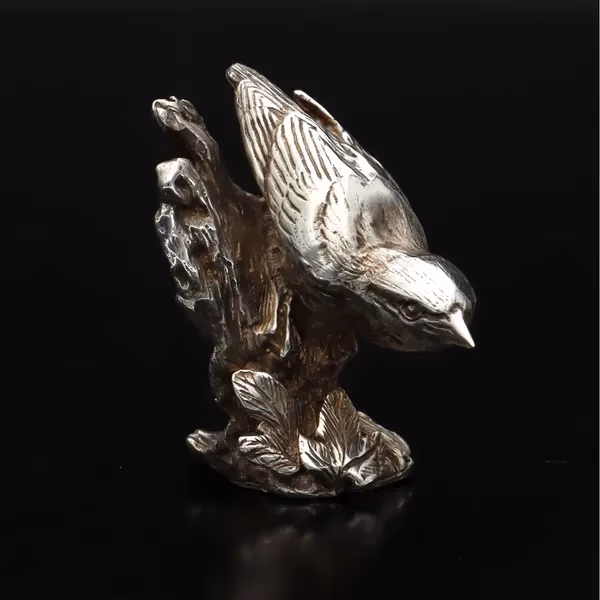 Silver Nuthatch