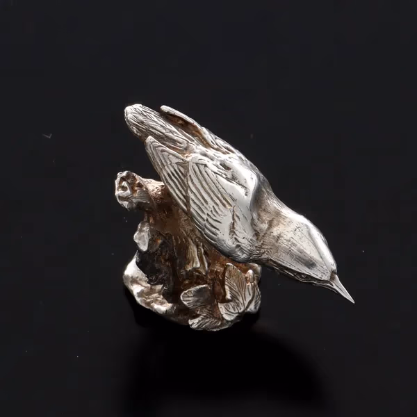 Silver Nuthatch