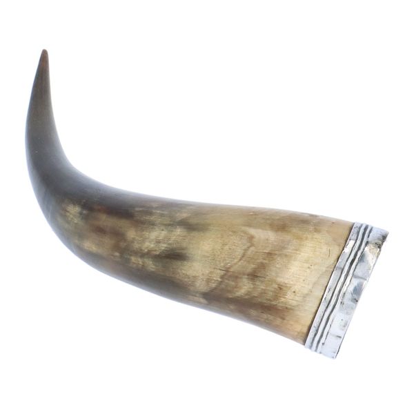 19th Century Scottish Silver Rimmed Drinking Horn