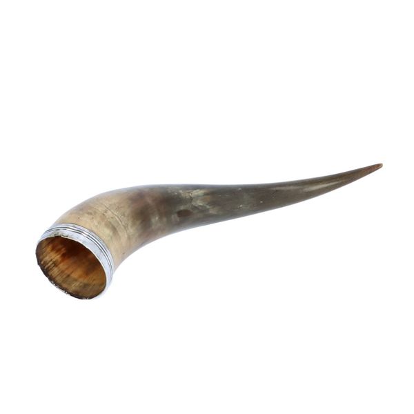 19th Century Scottish Silver Rimmed Drinking Horn