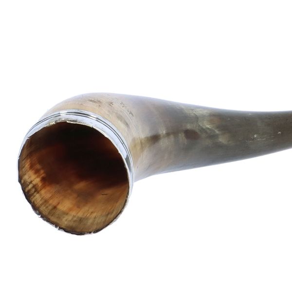 19th Century Scottish Silver Rimmed Drinking Horn