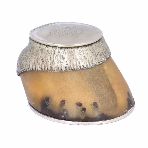 19th Century Horseshoe Table Snuff