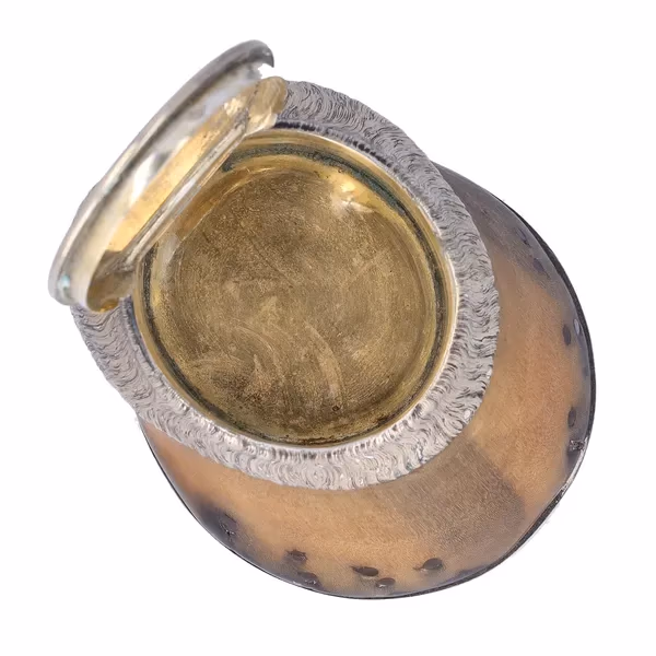 19th Century Horseshoe Table Snuff