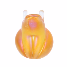 John Ditchfield Glasform Frog