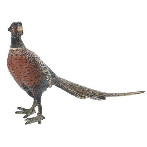 Bronze Cock Pheasant image-1