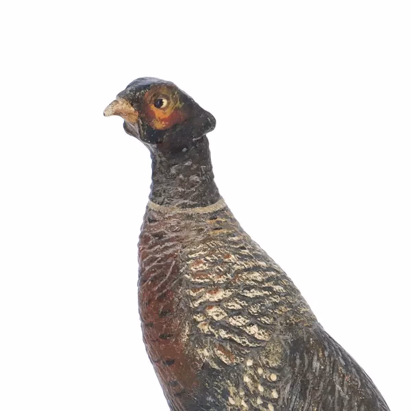 Bronze Cock Pheasant