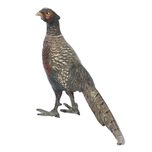 Bronze Cock Pheasant image-3