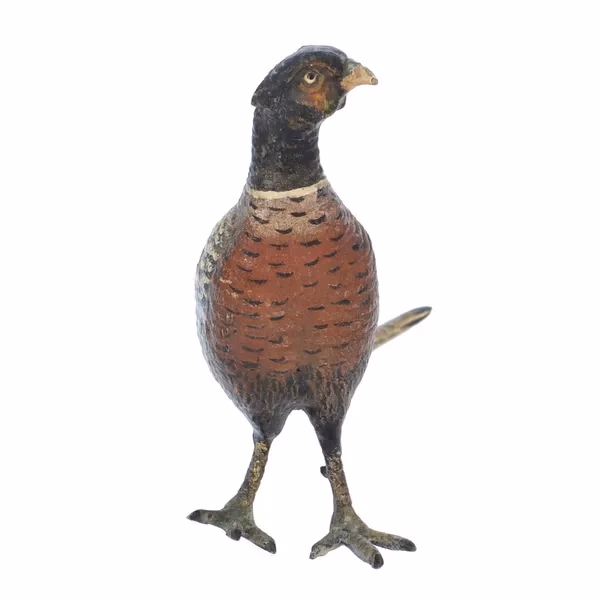 Bronze Cock Pheasant