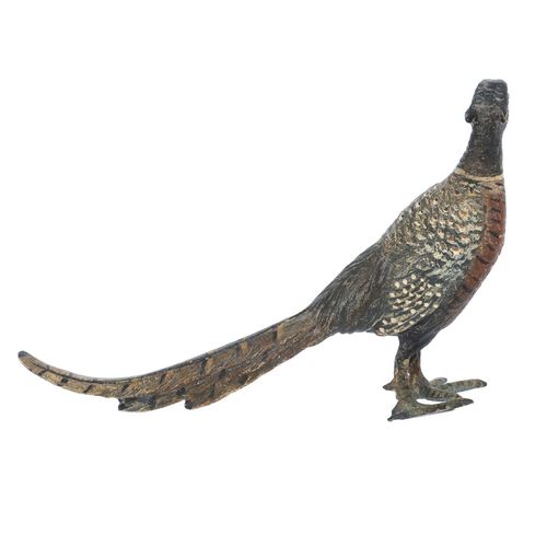 Bronze Cock Pheasant image-4