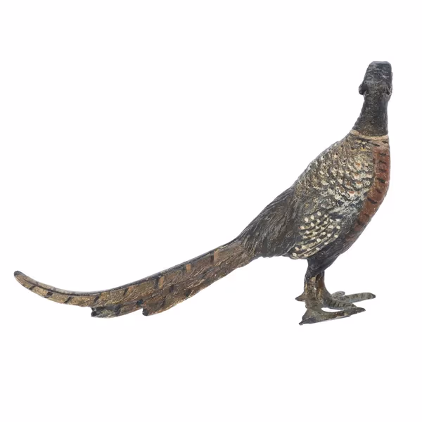 Bronze Cock Pheasant