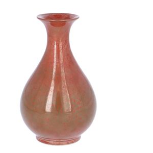 Ming Dynasty Porcelain Persimmon Glazed Yuhuchumping Vase