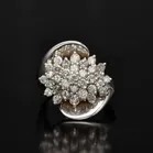 14ct White Gold Diamond Cluster Ring