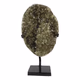 Praseoliet ruw 31cm - 360° presentation