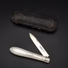 19th Century Cased Silver Fruit Knife