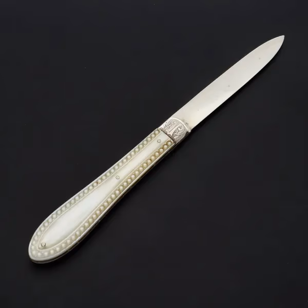 19th Century Cased Silver Fruit Knife