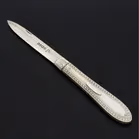 19th Century Cased Silver Fruit Knife