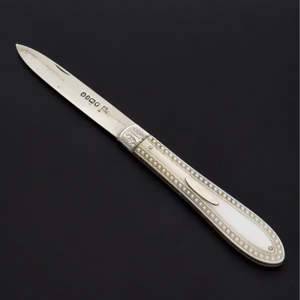 19th Century Cased Silver Fruit Knife