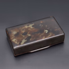 Georgian Tortoiseshell Snuff Box