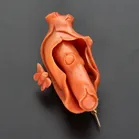 Victorian Carved Coral Brooch
