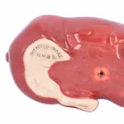 Rare Vintage Wemyss Pig
