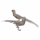 Mid 20th Century Pair of Silver Pheasants