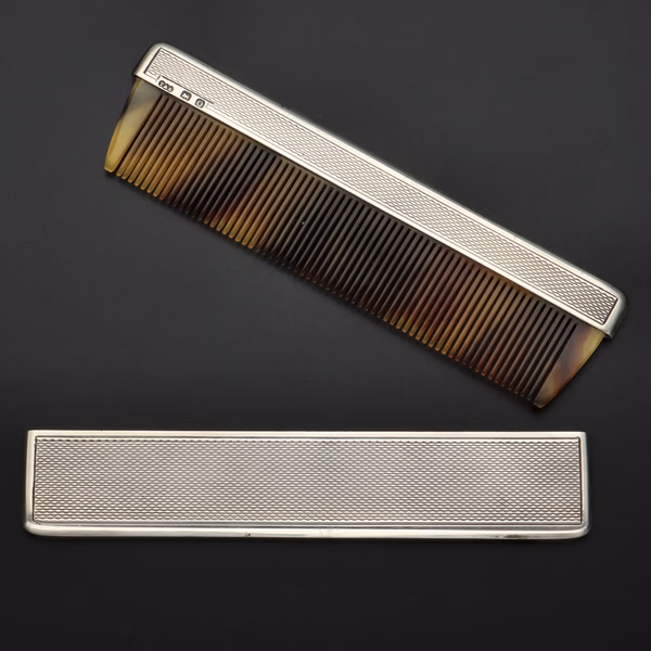 Silver Comb Case