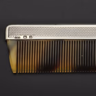 Silver Comb Case