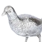 Pair of Silver Cock and Hen Pheasants