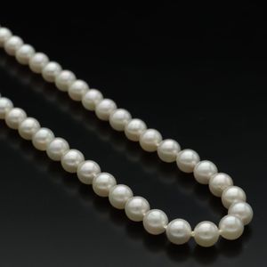 9ct Gold Clasped Cultured Pearl Necklace