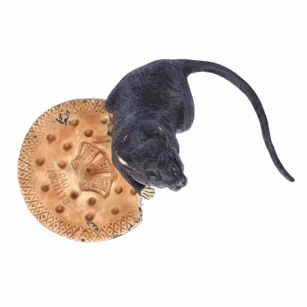 Bronze Rat With Cao Biscuit