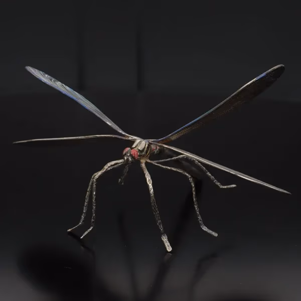 Rare Silver Dragonfly