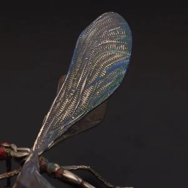 Rare Silver Dragonfly