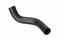 RADIATOR HOSE IAM