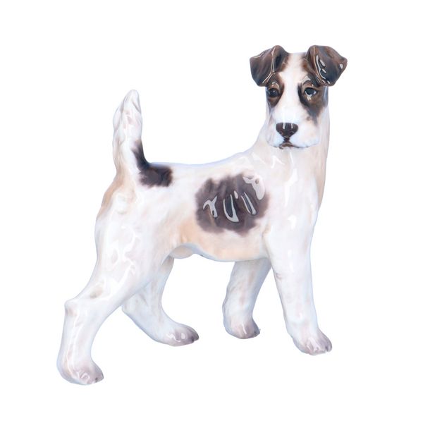 Dahl Jensen Fox Terrier