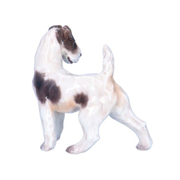 Dahl Jensen Fox Terrier