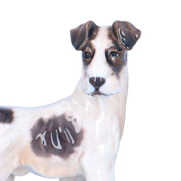 Dahl Jensen Fox Terrier