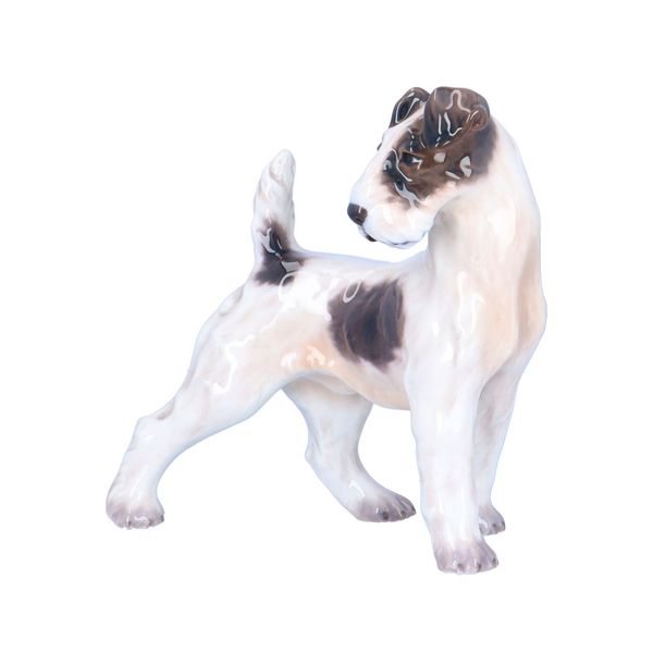 Dahl Jensen Fox Terrier