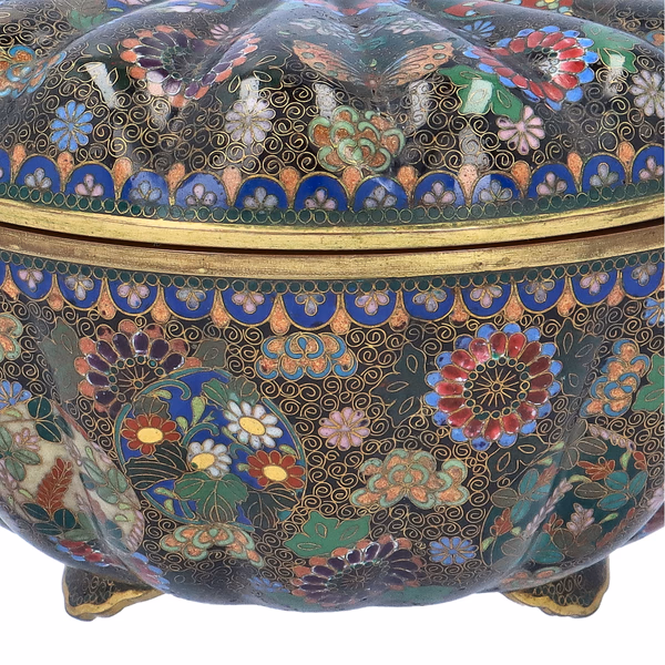 Rare Chrysanthemum Meiji Period Casket