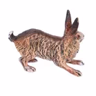 Cold Painted Bronze Figure of a Hare