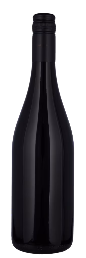 COTTAGE GARDEN, SHIRAZ