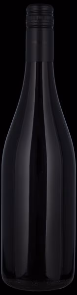 COTTAGE GARDEN, SHIRAZ