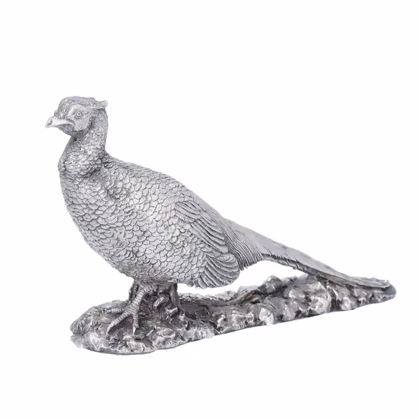 Modern Filled Model of a Cock Pheasant