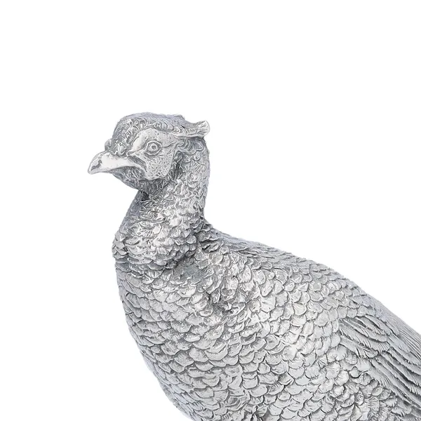 Modern Filled Model of a Cock Pheasant