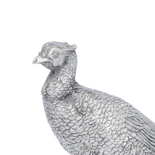 Modern Filled Model of a Cock Pheasant image-2
