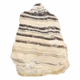Zebra calciet ruw 146 mm - 360° presentation
