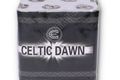 Celtic Dawn - 360° presentation