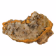 Hemomorfiet ruw nr1 - 360° presentation